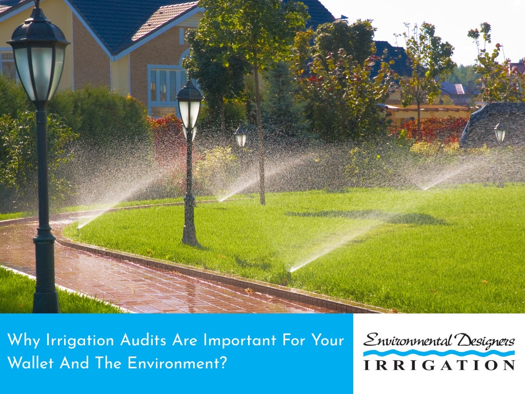 Why irrigation audits are important for your wallet and the environment