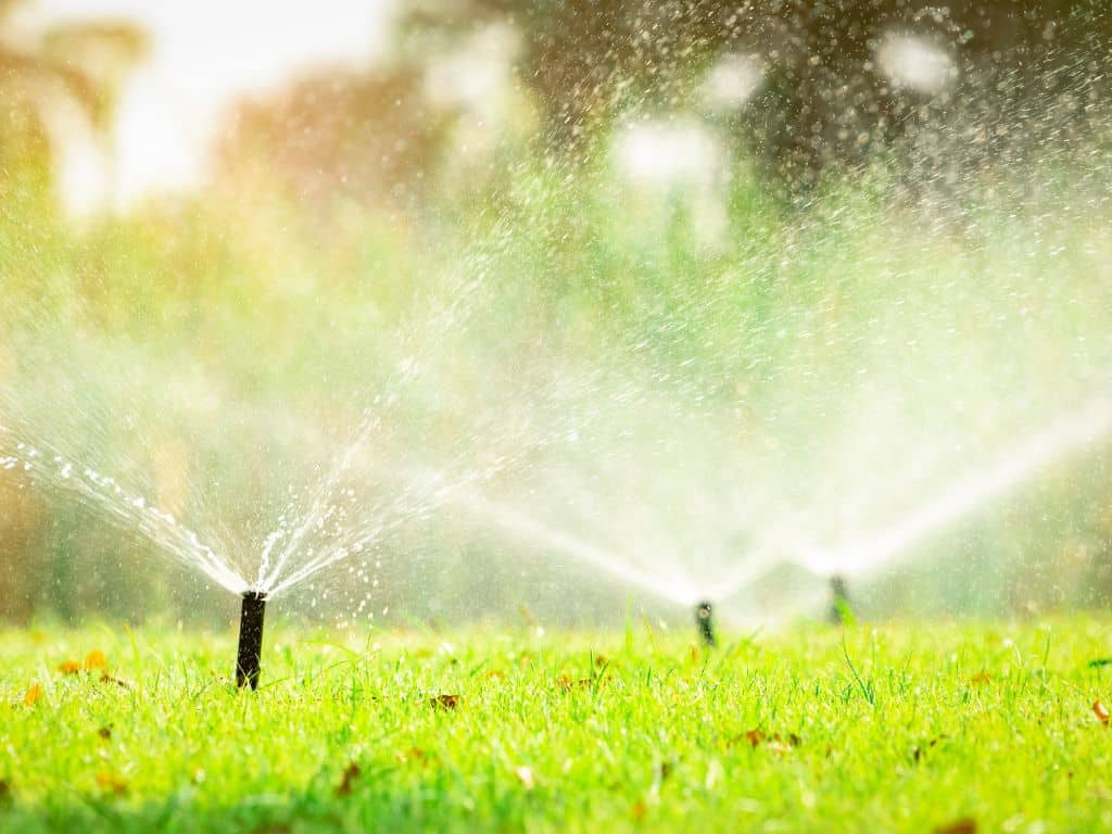 how long and how often should you water your grass