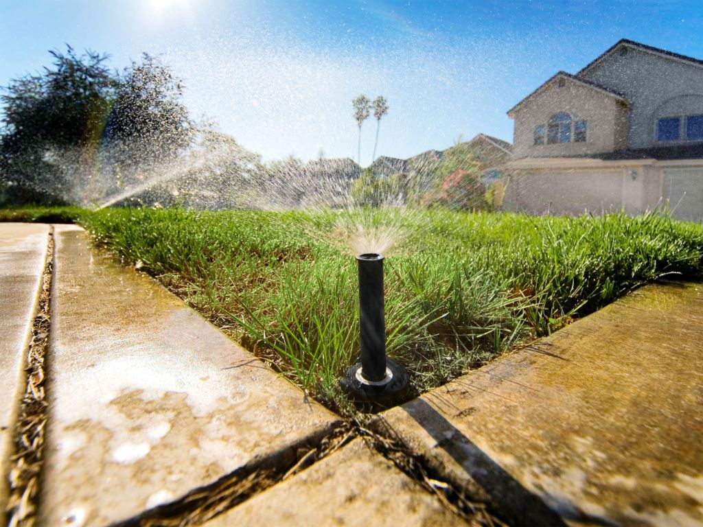 morning lawn watering