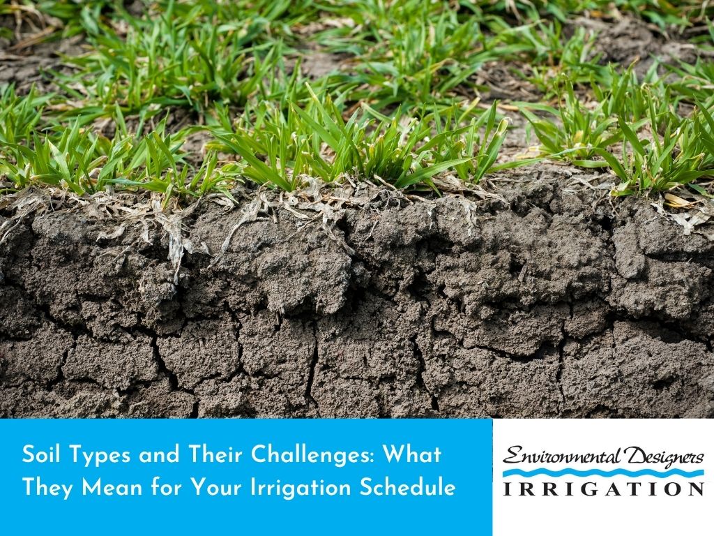 closed up image of cracked soil and grass