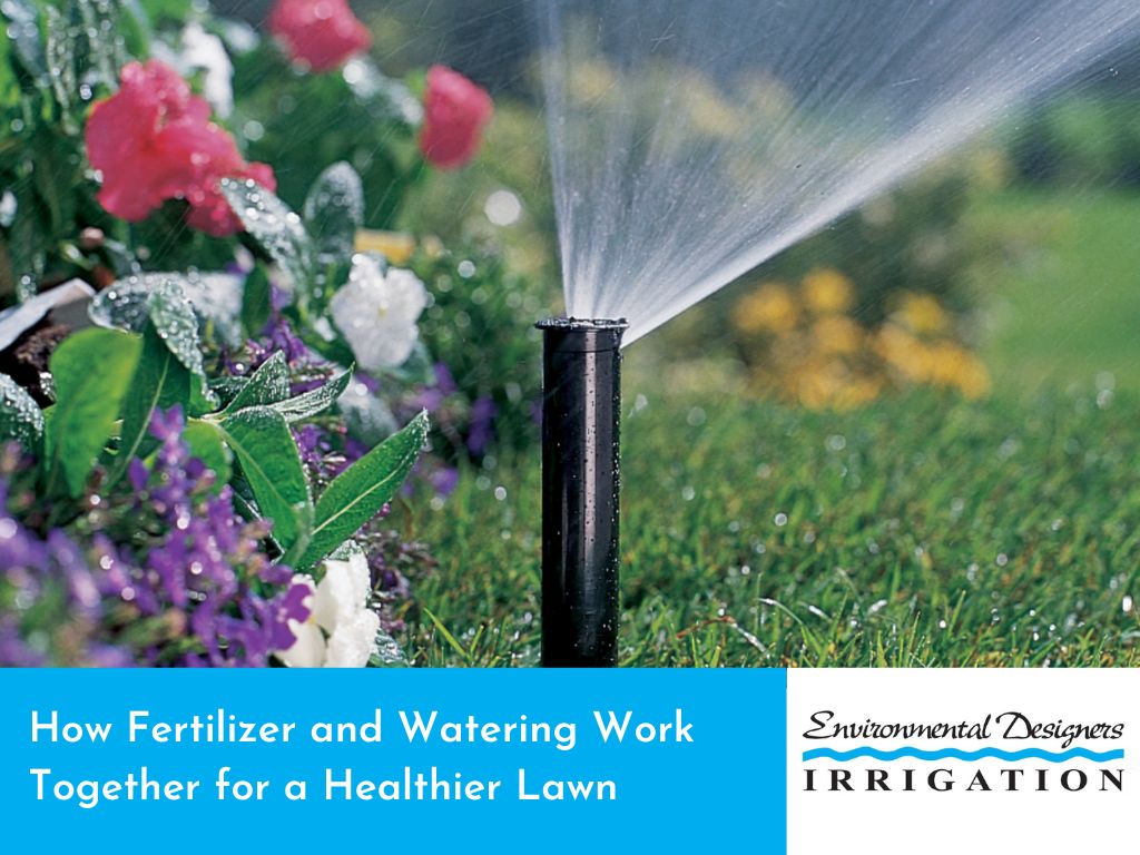 Visual representation of how fertilizers and watering contribute to a lush, healthy lawn.