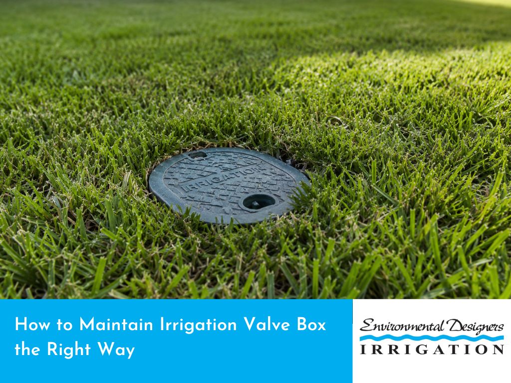 A well-maintained irrigation valve box with clear access and organized components for optimal functionality.