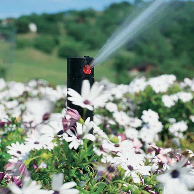 Residential sprinkler